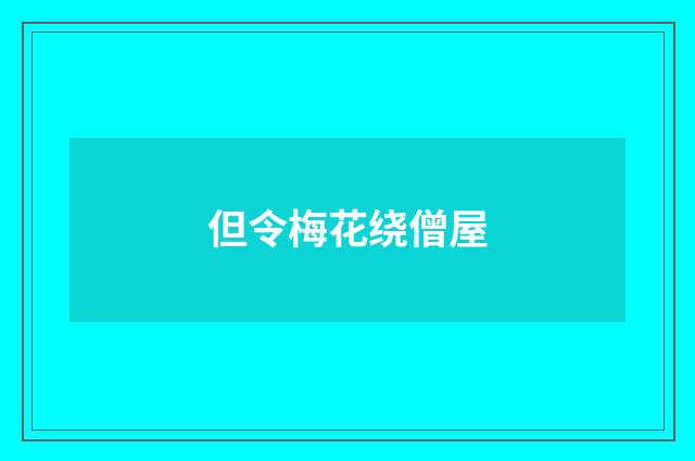 但令梅花绕僧屋
