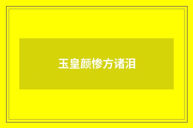 玉皇颜惨方诸泪