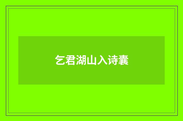 乞君湖山入诗囊