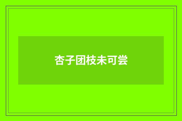 杏子团枝未可尝