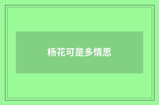 杨花可是多情思