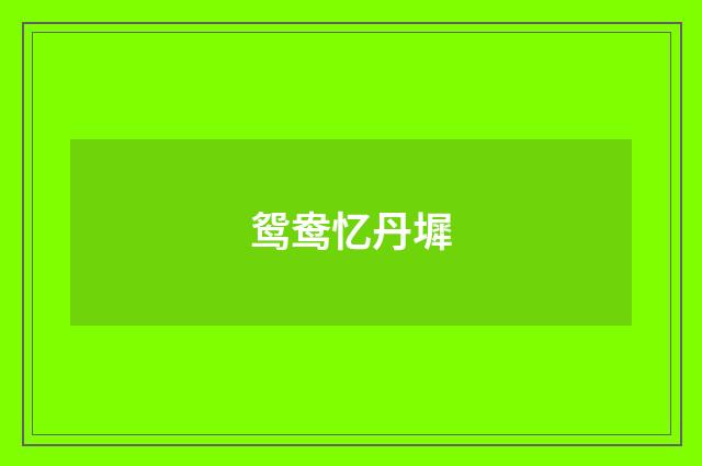鸳鸯忆丹墀