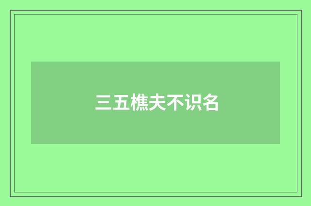 三五樵夫不识名