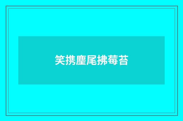 笑携麈尾拂莓苔