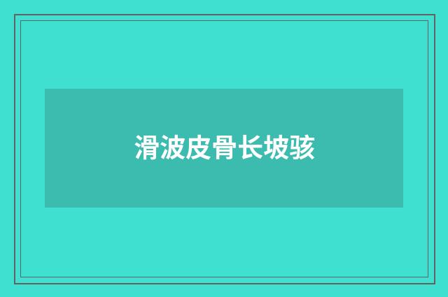 滑波皮骨长坡骇