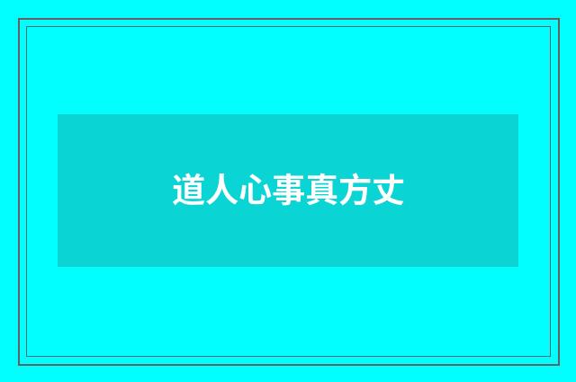 道人心事真方丈