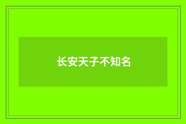 长安天子不知名