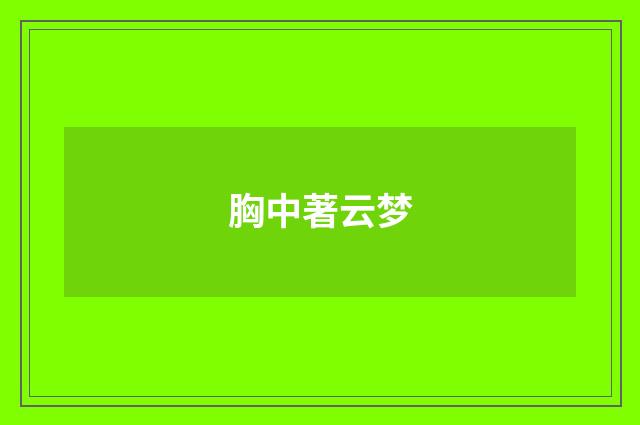 胸中著云梦