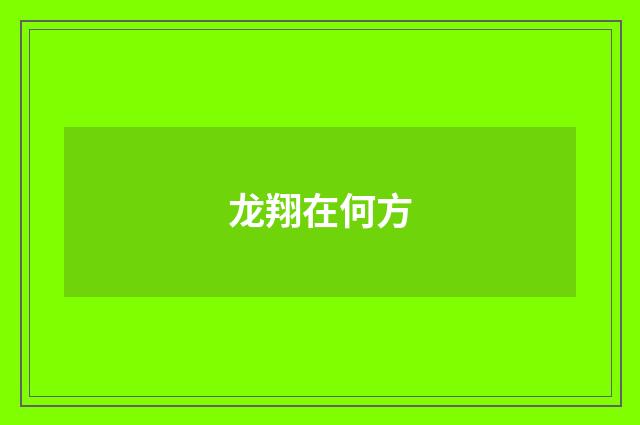 龙翔在何方