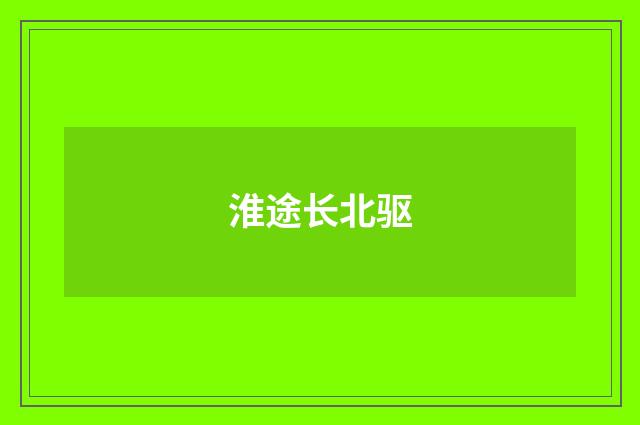淮途长北驱