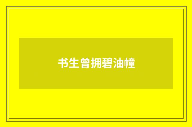 书生曾拥碧油幢