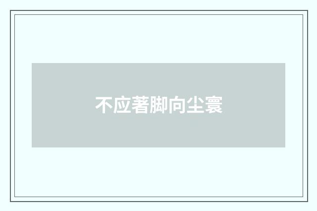 不应著脚向尘寰