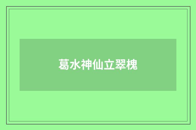 葛水神仙立翠槐