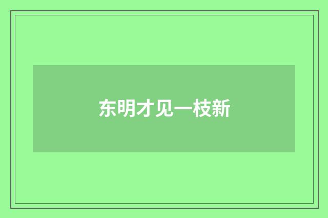 东明才见一枝新