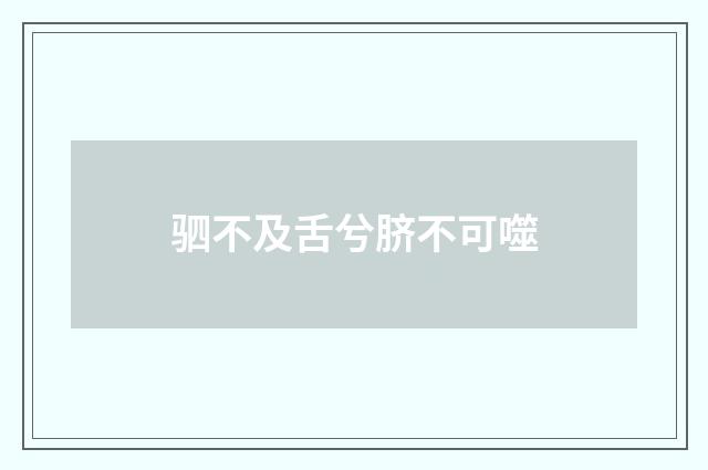 驷不及舌兮脐不可噬