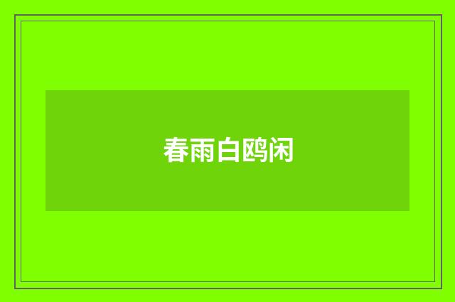 春雨白鸥闲