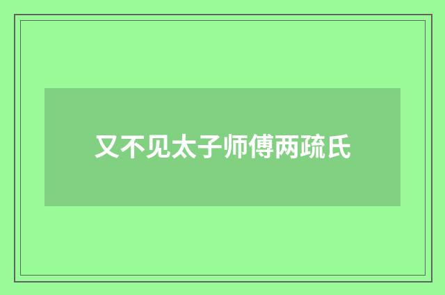 又不见太子师傅两疏氏