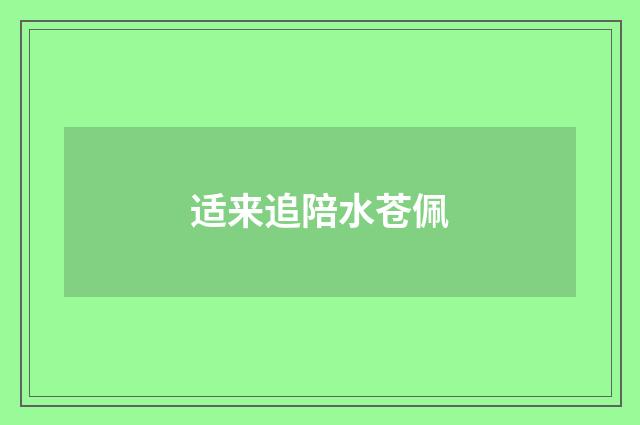 适来追陪水苍佩