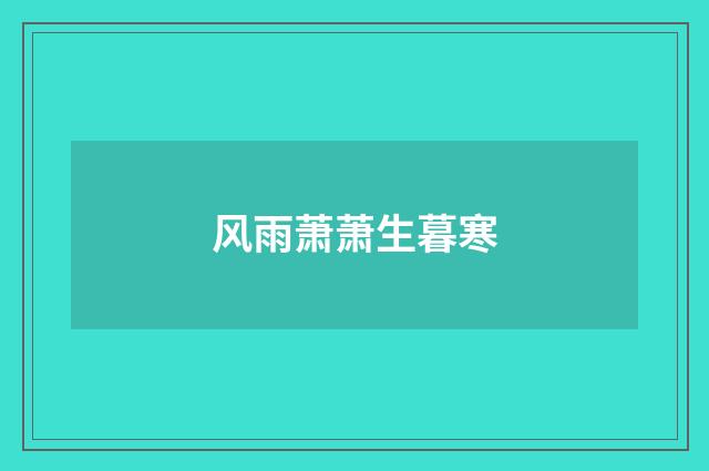 风雨萧萧生暮寒
