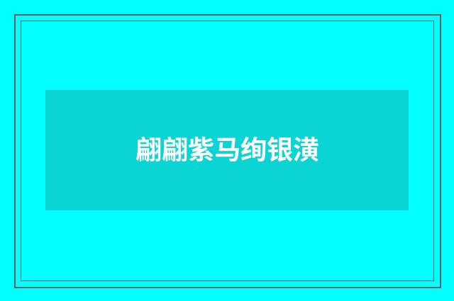 翩翩紫马绚银潢