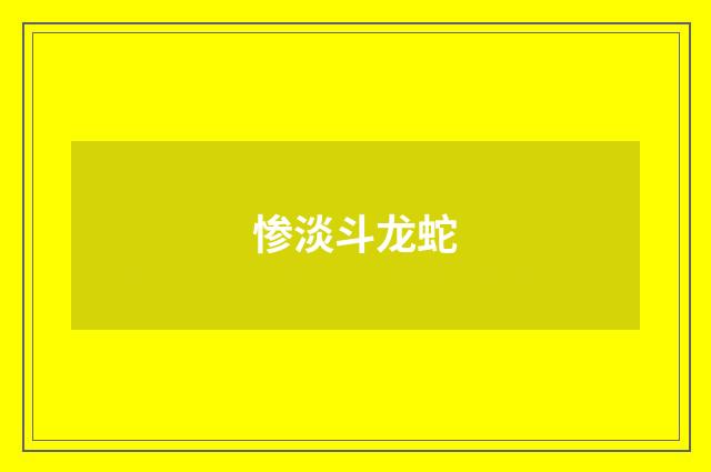 惨淡斗龙蛇