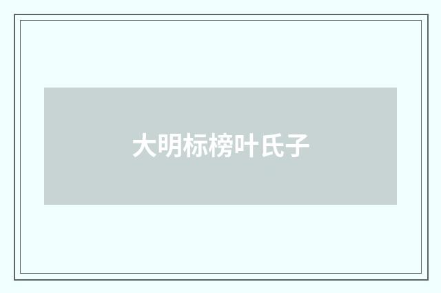 大明标榜叶氏子