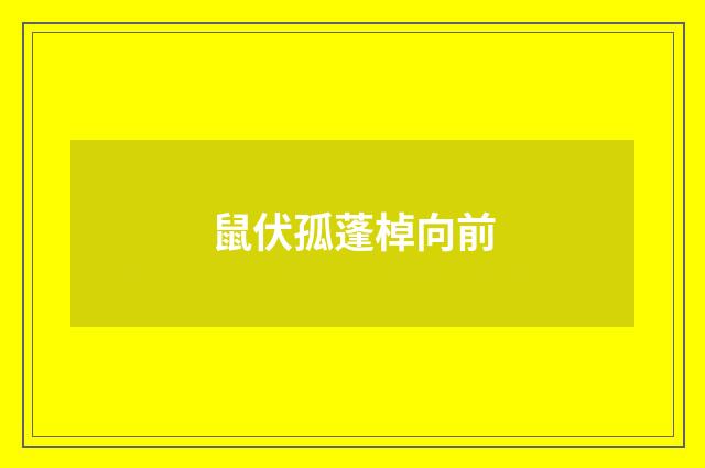 鼠伏孤蓬棹向前