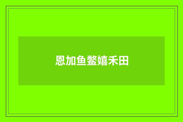 恩加鱼鳖嬉禾田