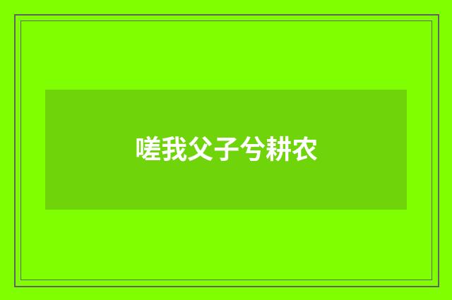 嗟我父子兮耕农