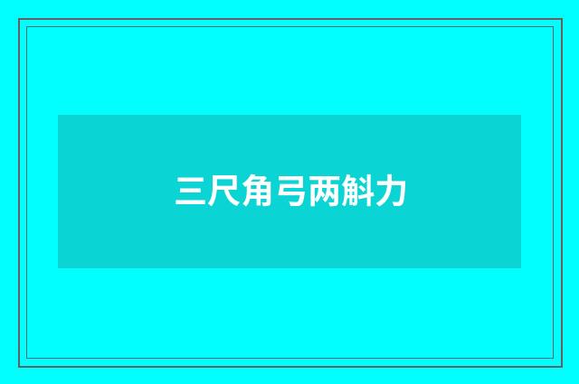 三尺角弓两斛力