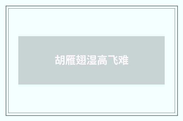 胡雁翅湿高飞难