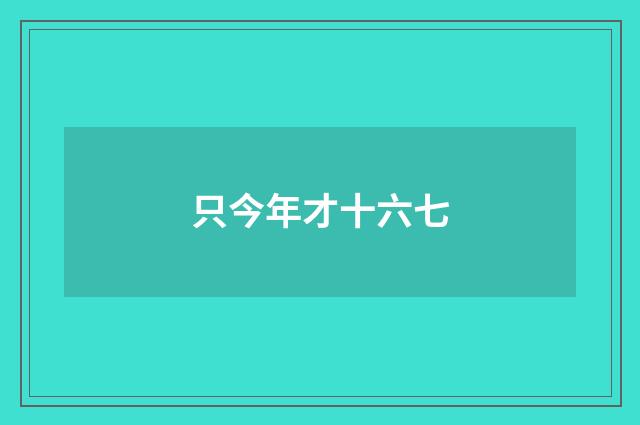 只今年才十六七