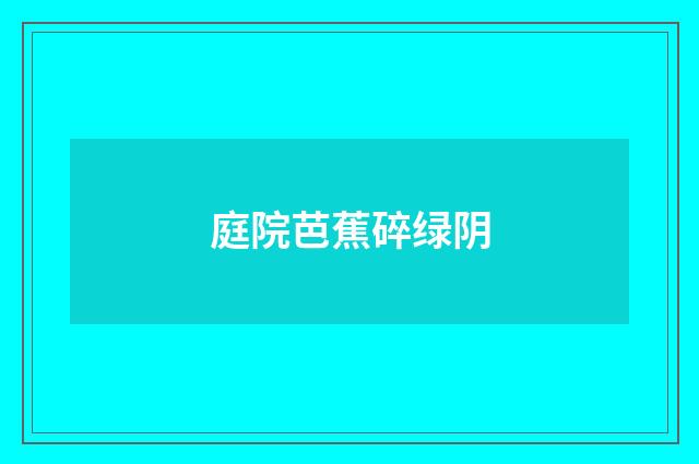 庭院芭蕉碎绿阴