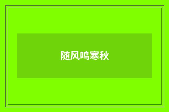 随风鸣寒秋