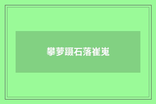 攀萝蹑石落崔嵬