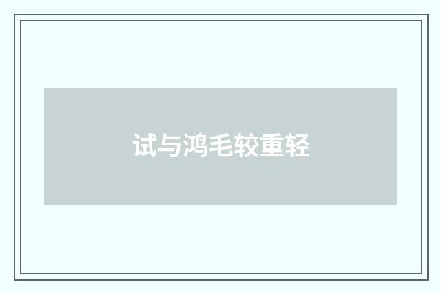 试与鸿毛较重轻