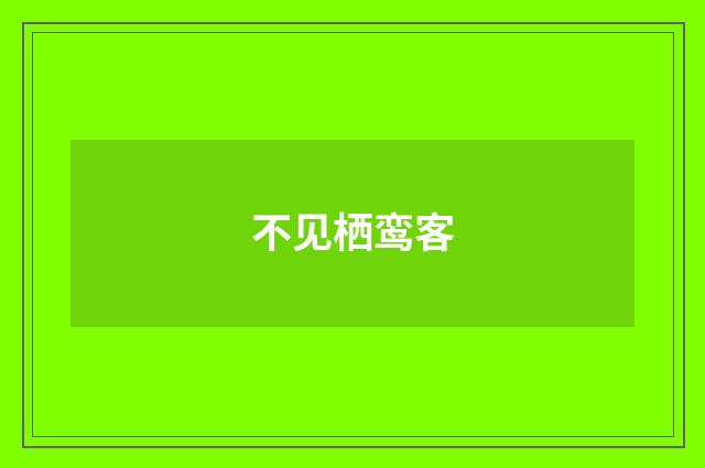 不见栖鸾客