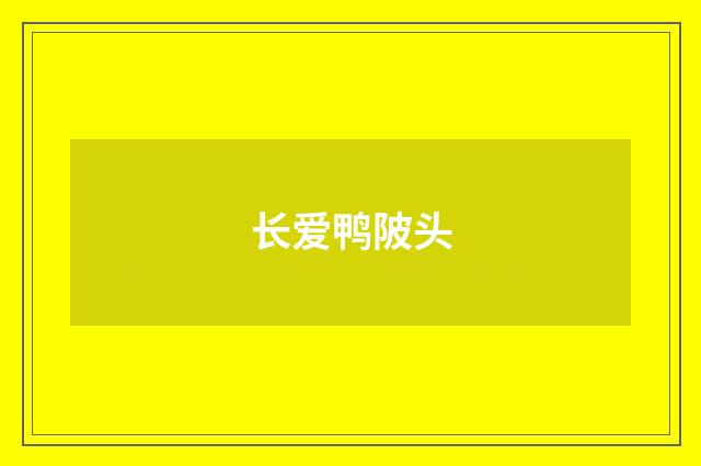长爱鸭陂头