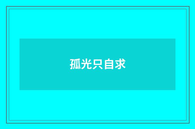孤光只自求