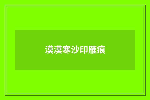 漠漠寒沙印雁痕