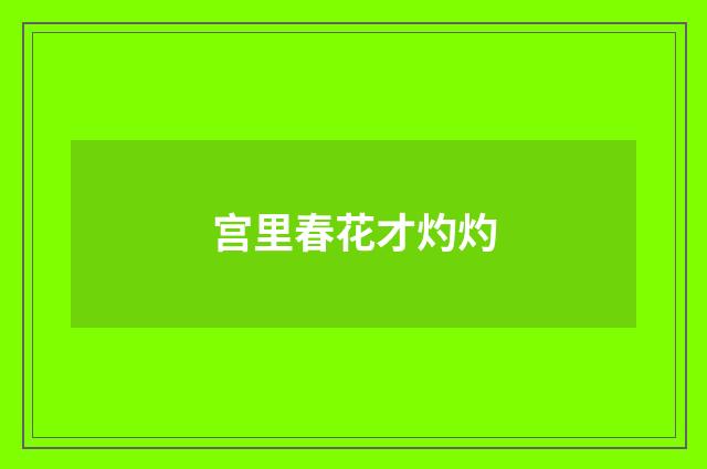 宫里春花才灼灼