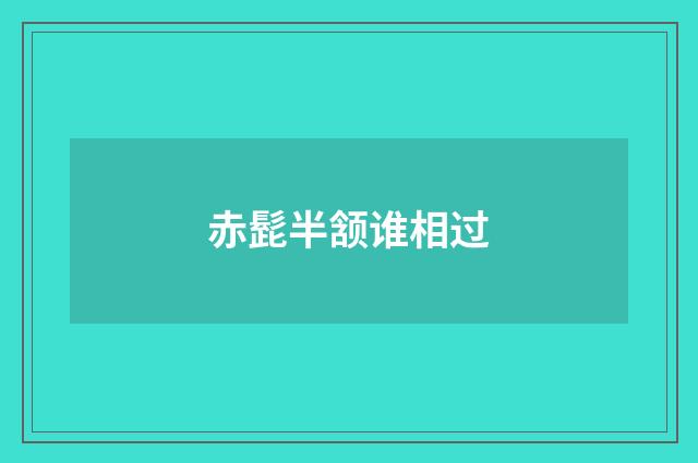 赤髭半颔谁相过