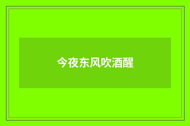 今夜东风吹酒醒
