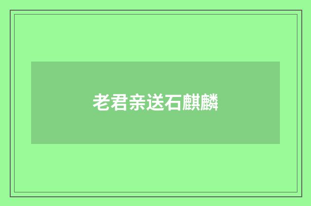 老君亲送石麒麟