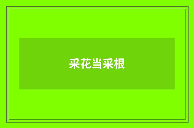 采花当采根