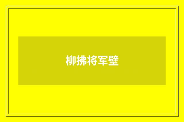 柳拂将军壁