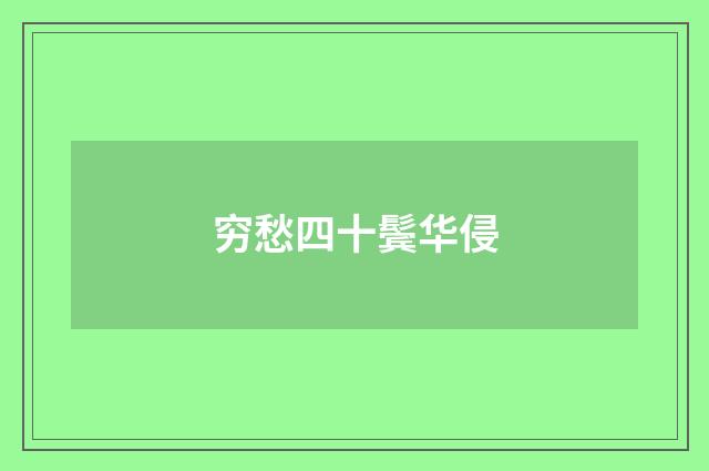 穷愁四十鬓华侵