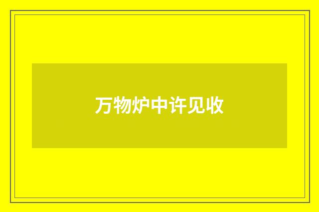 万物炉中许见收