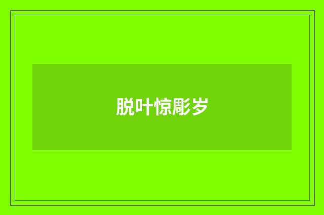 脱叶惊彫岁