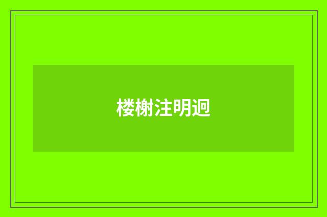 楼榭注明迥